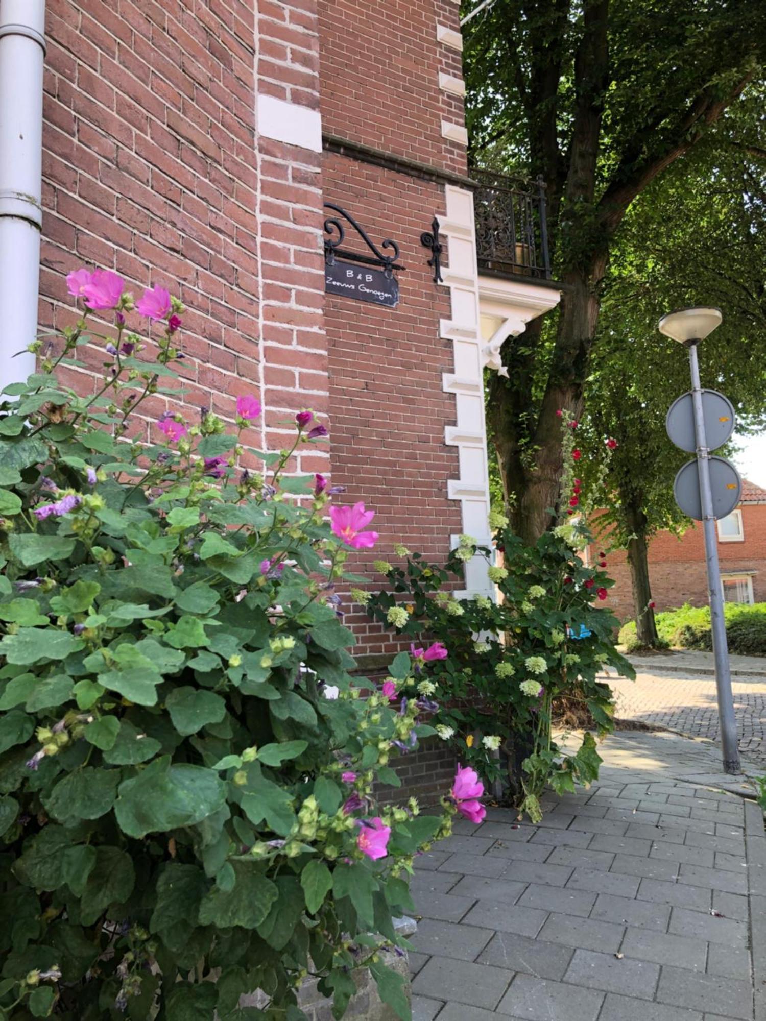 Appartement Zeeuws Genoegen 블리싱겐 외부 사진